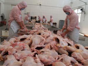 滑县国税局多措施加强道口烧鸡行业风险管理